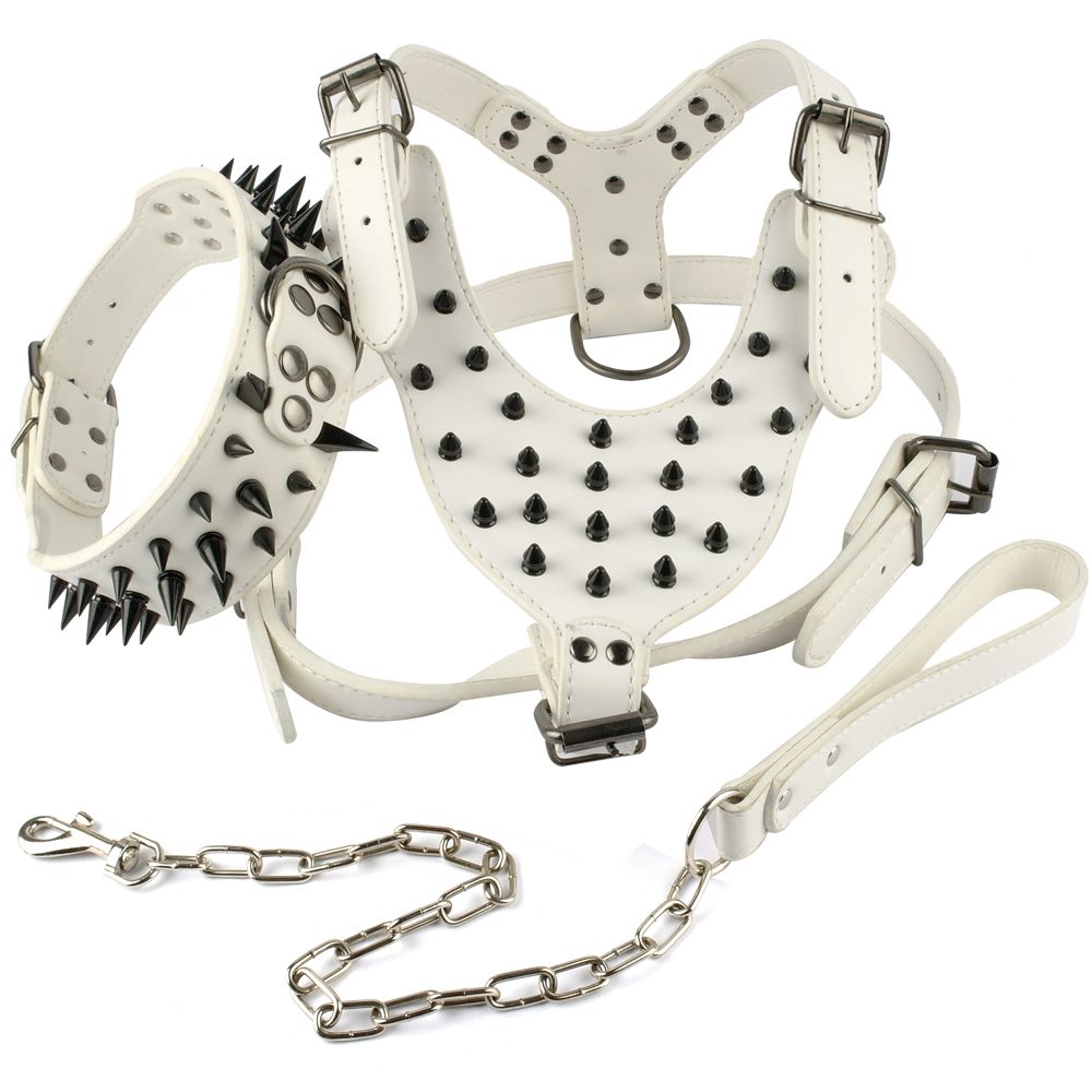harness collar and leash sets