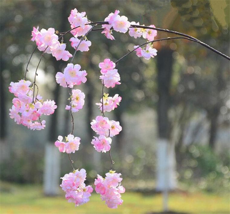 150cm cherry vine pink