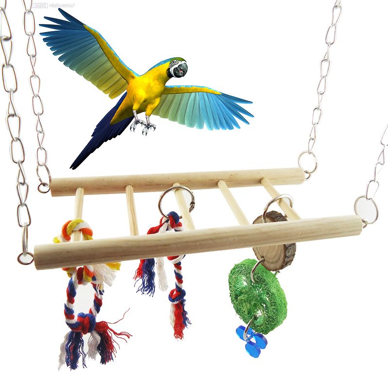 parrot swing