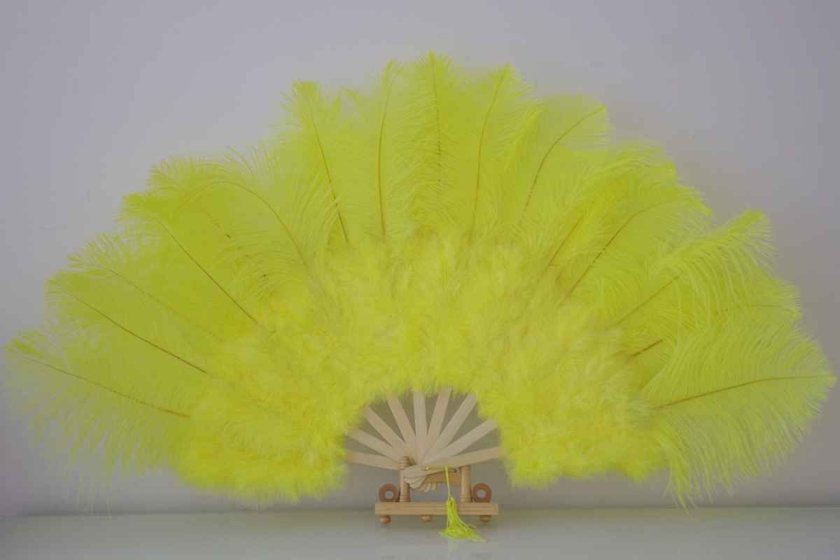 fold out fan