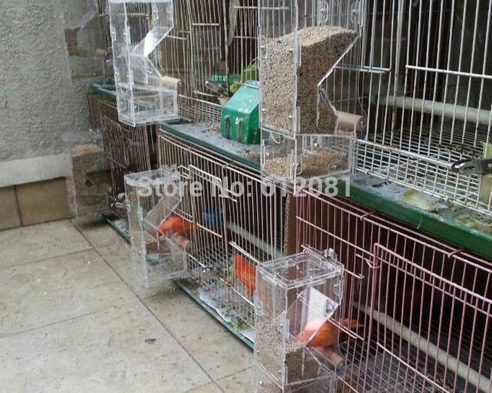 2020 1509 Tidy Seed No Mess Bird Feeder Parrot Food Feeding Bowl