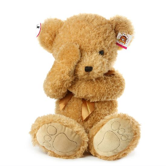 shy teddy bear