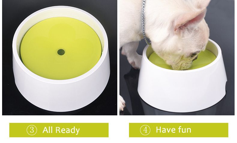 slow drinker for dogs