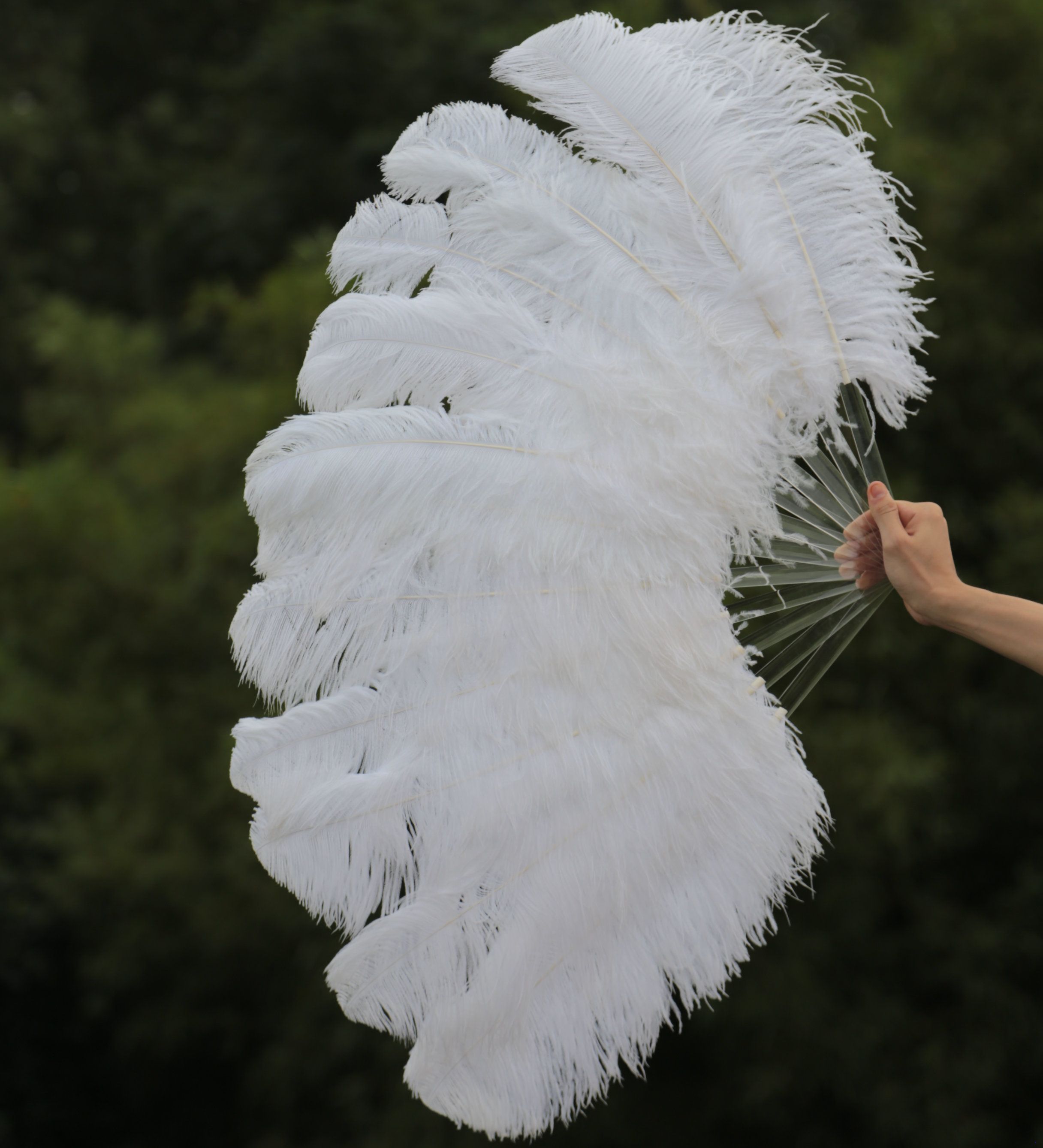 ostrich feather fan