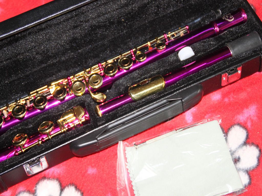 2021 Advanced 16 Hole Flute Blue Flute With Hard Case Blue.Green, Pink