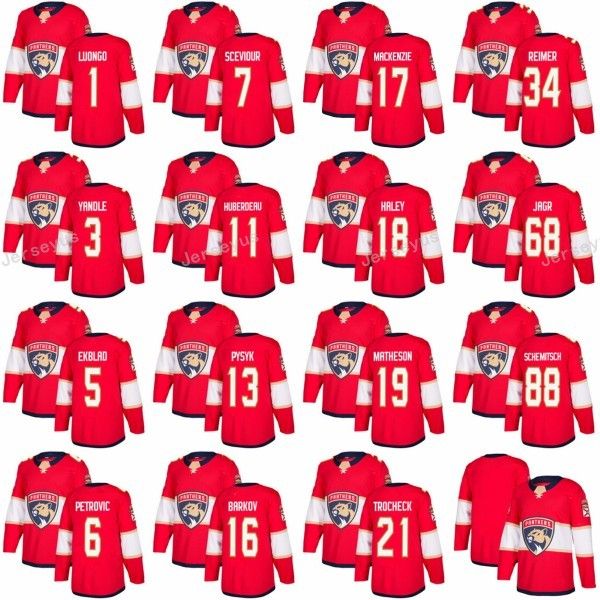 florida panthers jagr jersey