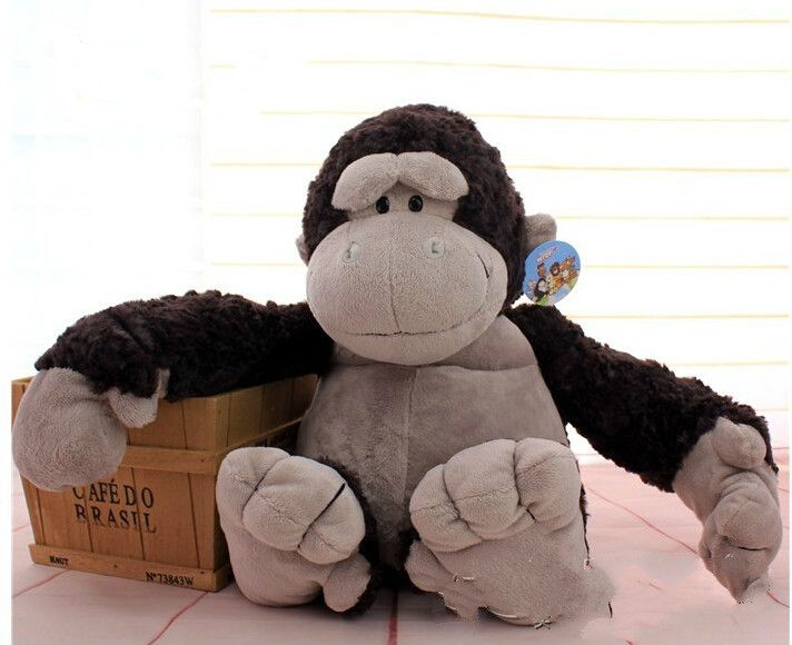 kong stuffed toy