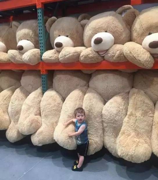 giant stuffed teddy bears for sale