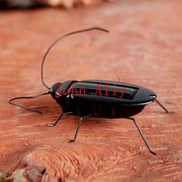 insect toys for kids