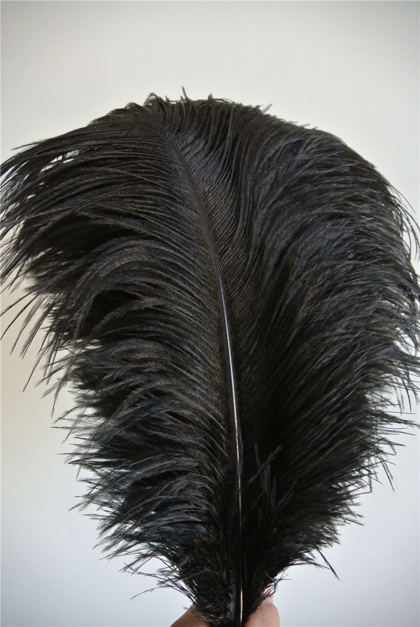 black ostrich plumes