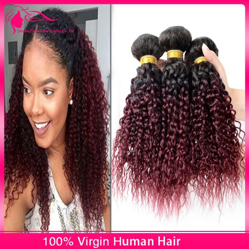 Kinky Curly Virgin Brazilian Burgundy Ombre Human Hair Weaves