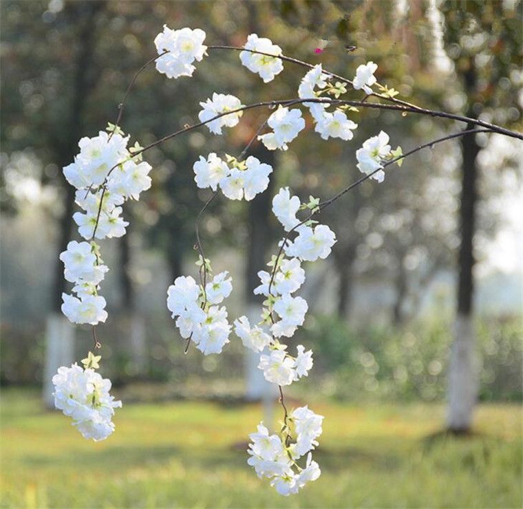 150 cm Cherry Vine White