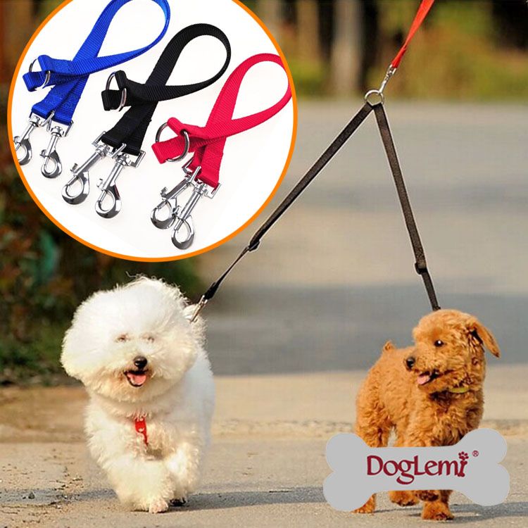 2 lead dog leash