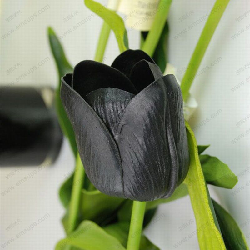 12# Tulip Seed Ukallaite 100Pcs Variety Tulip Seeds Beautiful Flower Home Garden Plant Bonsai Decoration 12# Tulip Seed Ukallaite 100Pcs Variety Tulip Seeds Beautiful Flower Home Garden Plant Bonsai Decoration