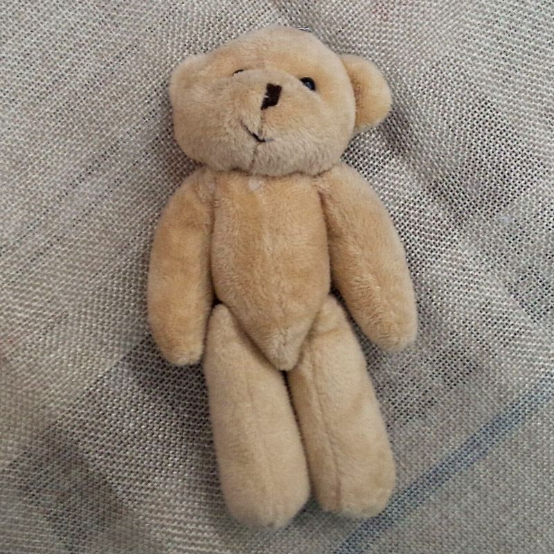mini teddy bears in bulk