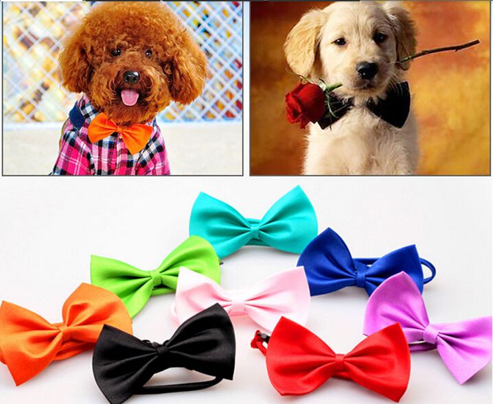dog neck bows