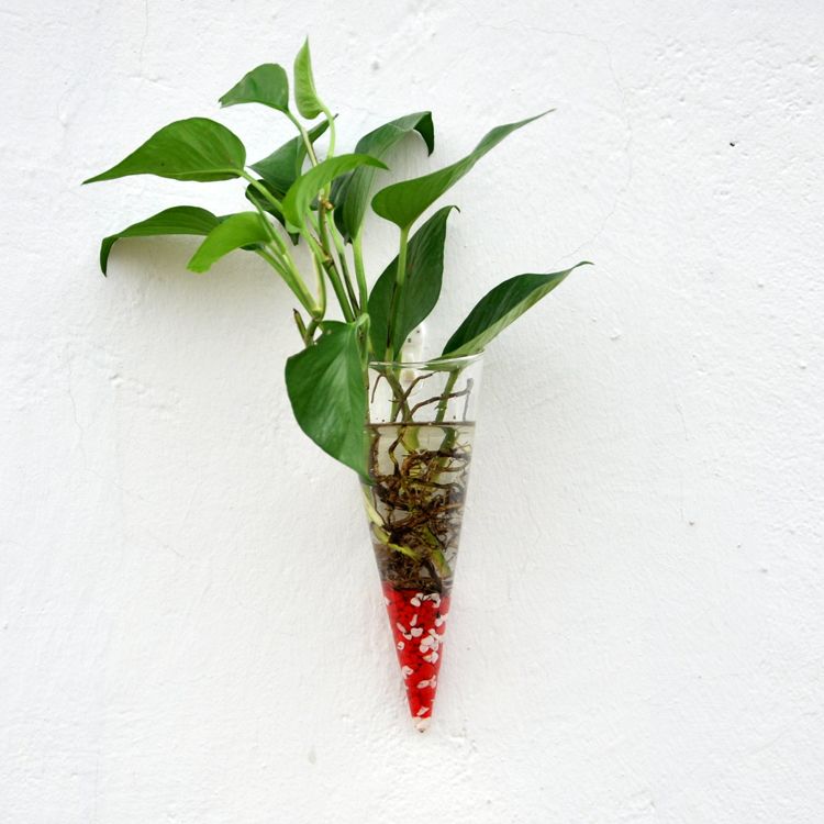 Clear Cone Shape Glass Hanging Terrarium Flower Vases Water Clear Cone Shape Glass Hanging Terrarium Flower Vases Water Planter Wall Vase For