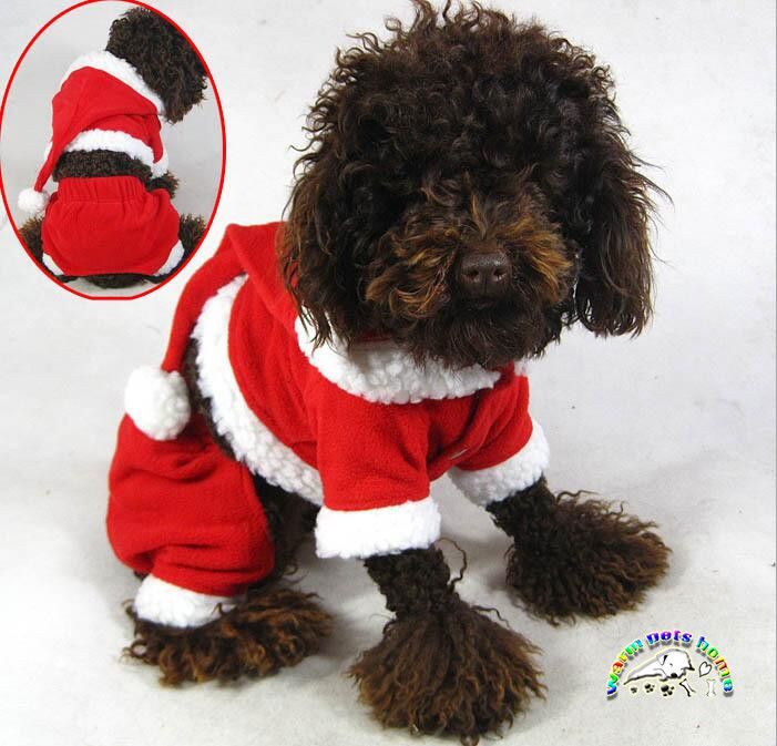 Discriminación sexual Rocío Hacia Yorkie Shih tzu ropa de perrito ropa de invierno para perros perro ropa de  Santa para