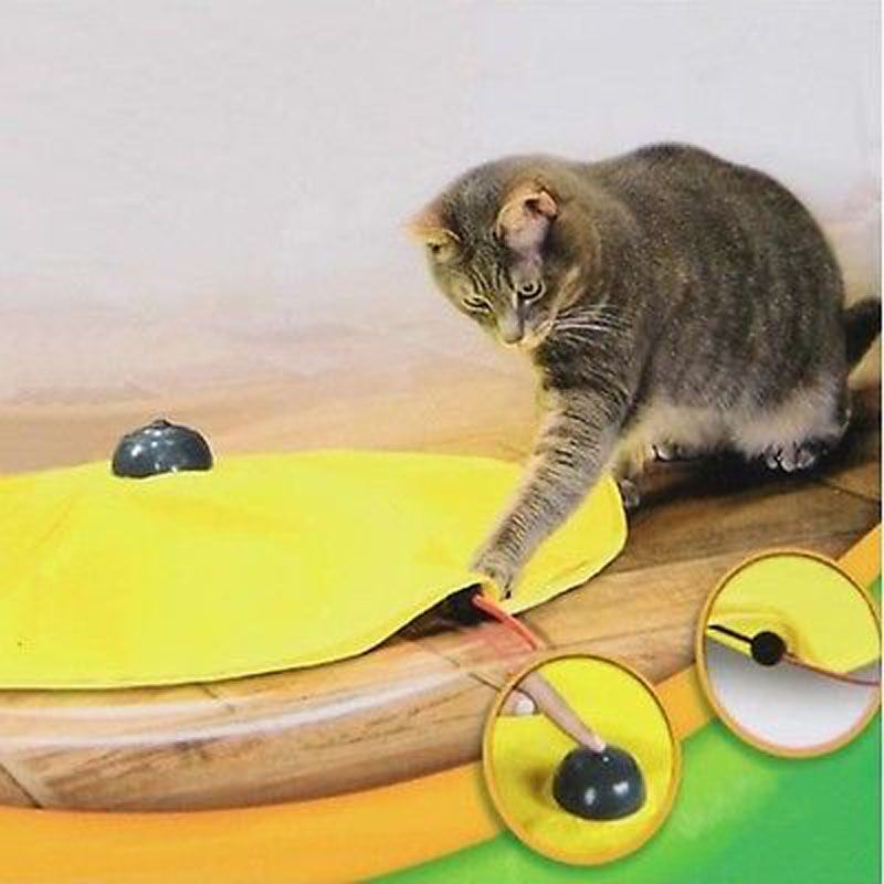 prince of tennis figure