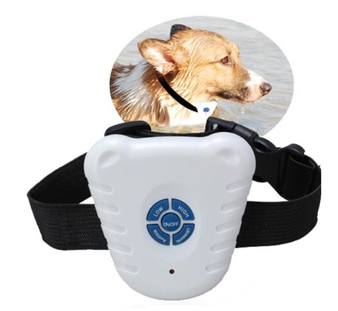 anti bark training collar