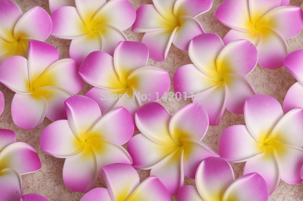 2020 7cm Wholesale Plumeria Hawaiian Foam Frangipani Flower For Wedding