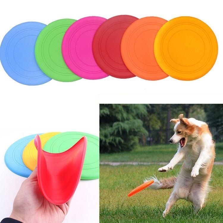 Frisbee Für Hunde