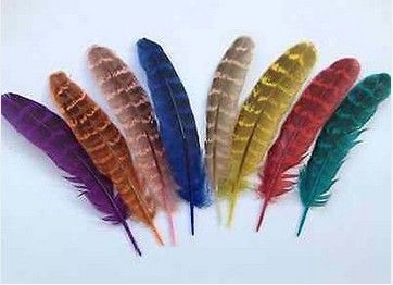 Wholesale 10-1000PCS 10-15cm//4-6inches Natural Pheasant feathers