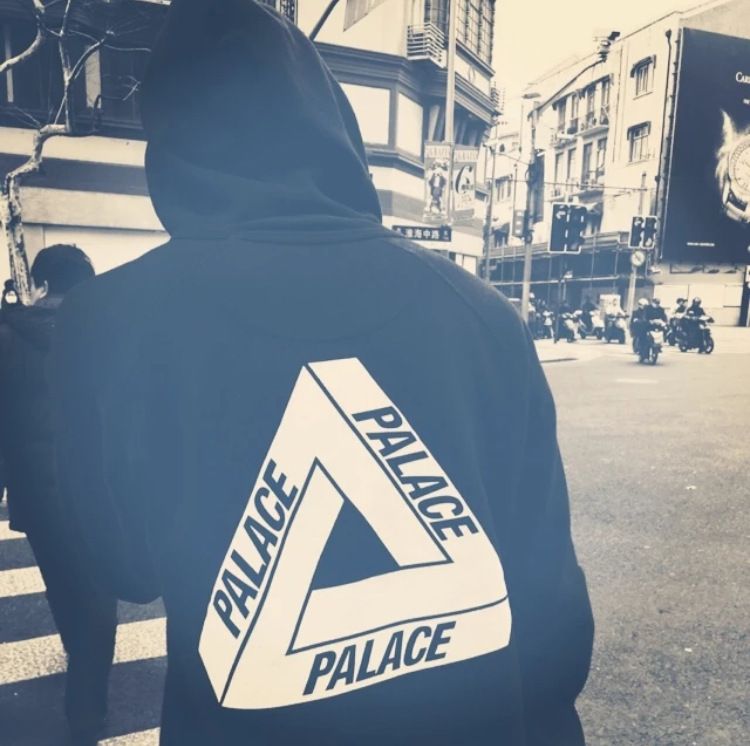 palace reflecto moletom com capuz