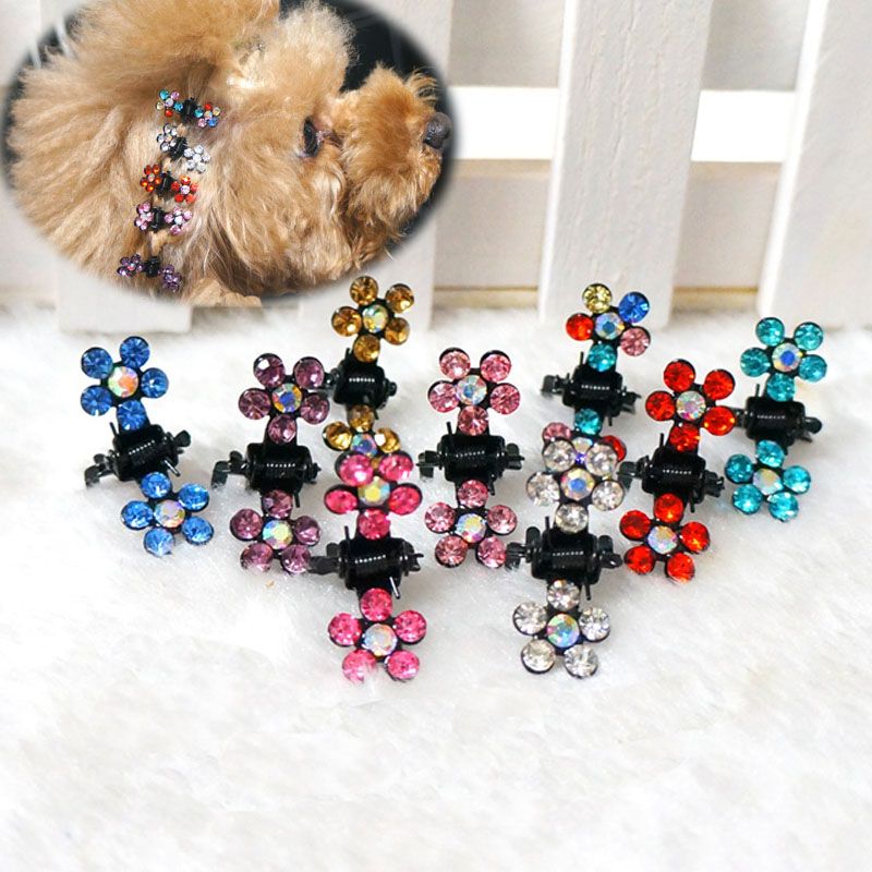 mini dog accessories