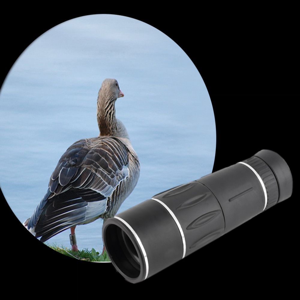 best magnification for bird watching