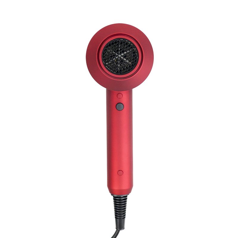 Newest Dual Voltage Light Weight Ionic Hair Dryer Professional Hair