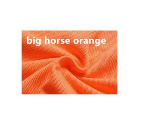 كبير الخيول البرتقال