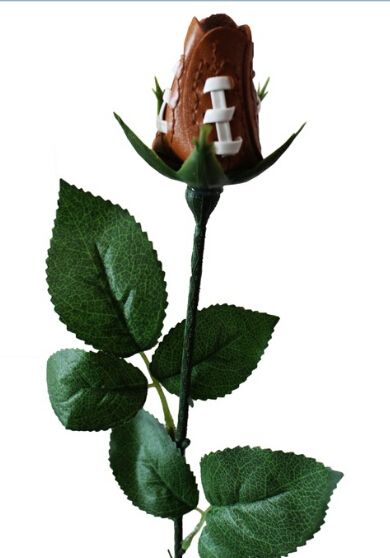 le football rose