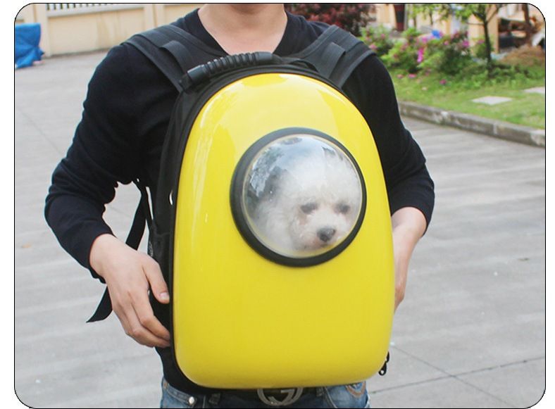 pet backpack bubble