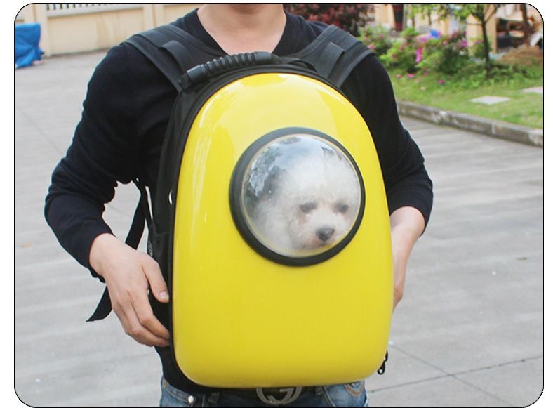 dog backpack with bubble