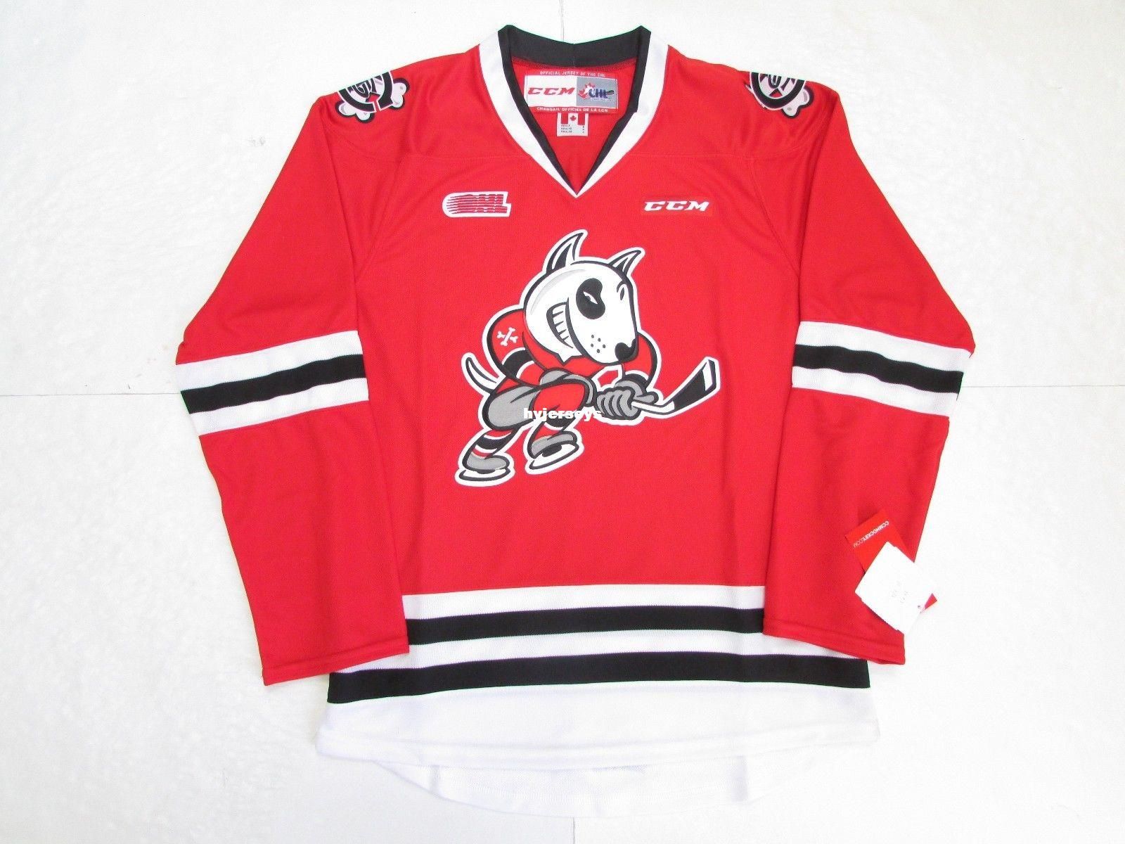 niagara icedogs jersey