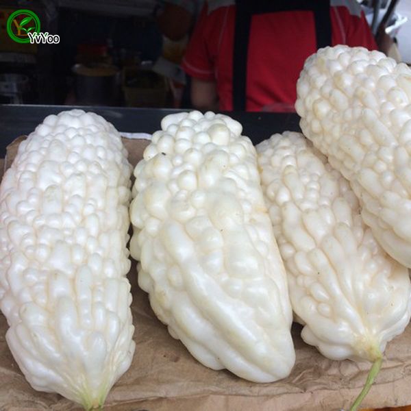 Discount White Bitter Gourd Seeds Green Organic Vegetables And Fruit Seeds Delicious Particles K0 Top Seeds Online Shop Dhgate Com