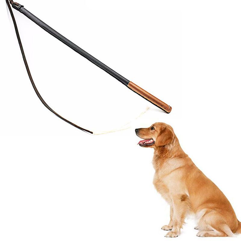 dog heeling stick