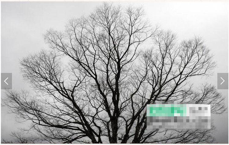 Download 400+ Wallpaper Black Tree HD Terbaru Download 400+ Wallpaper Black Tree HD Terbaru