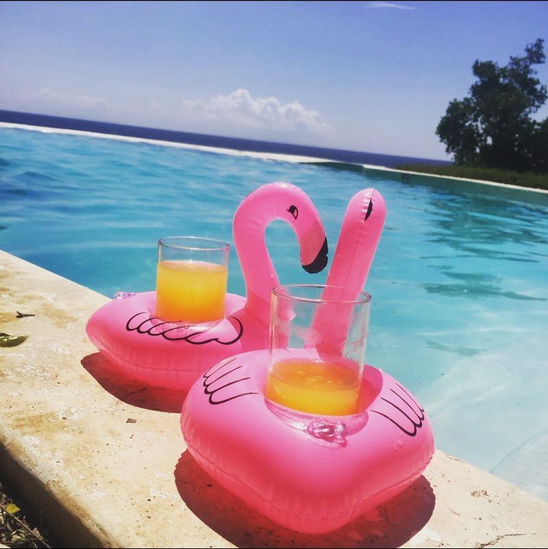 Flamingo Drinks Cup Holder Coasters Float Drink Holders Swimming Pool Toy USA 