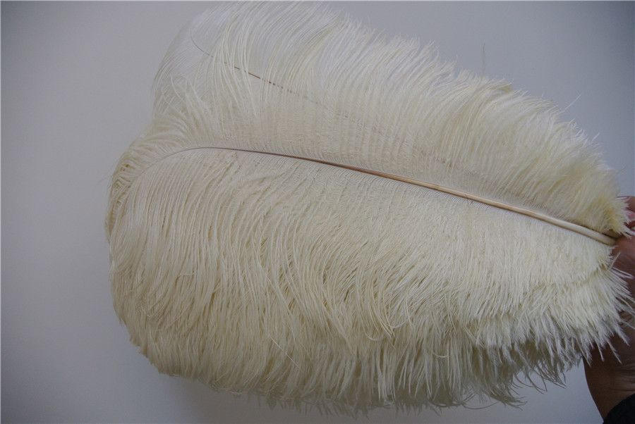 ivory ostrich feathers wholesale
