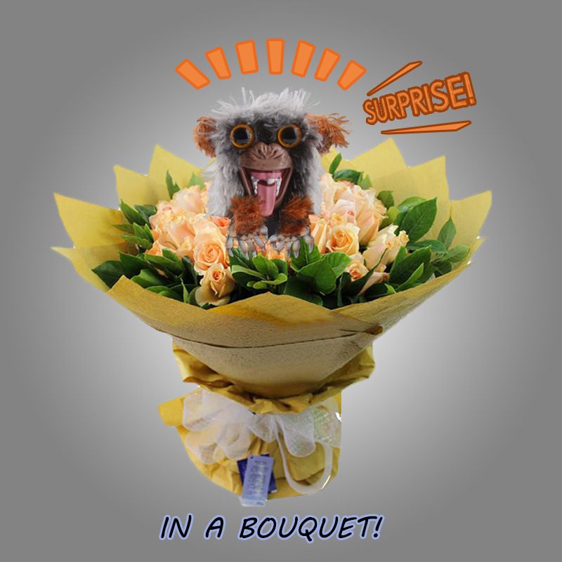 sneekums pet pranksters