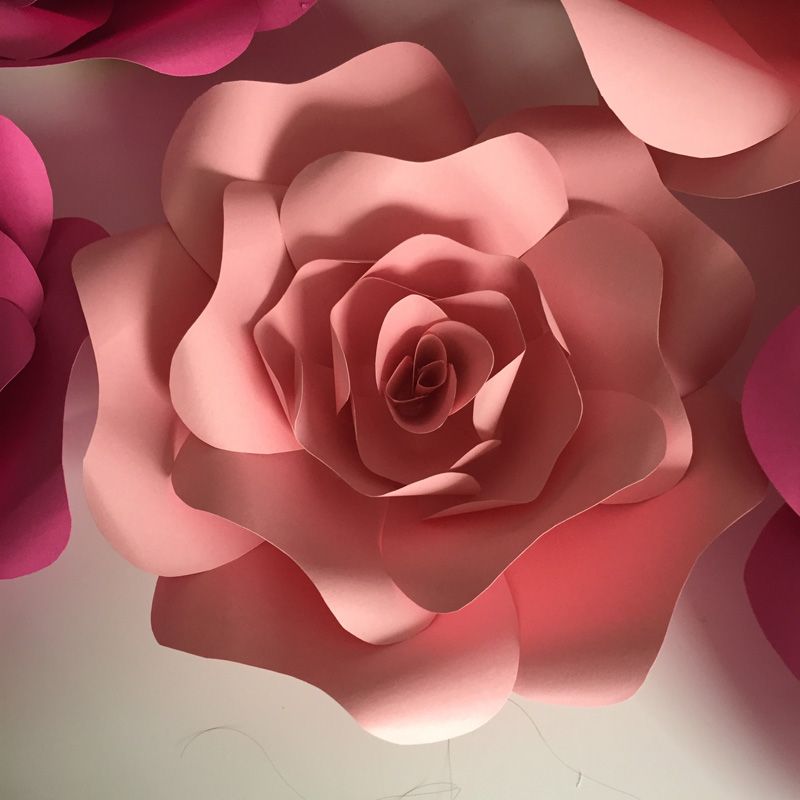 Rose Color Chart