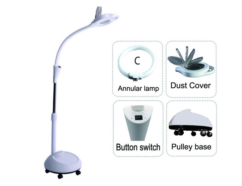 Annular Lamp Type