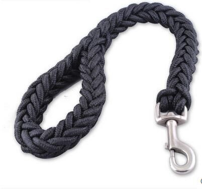 short dog leash