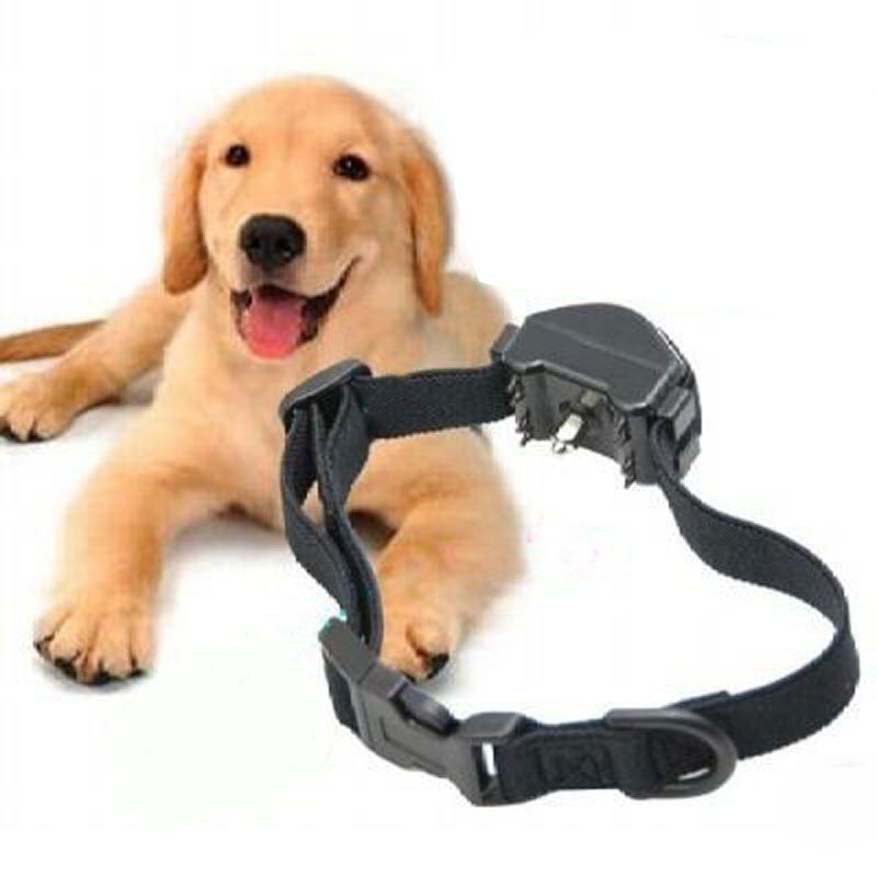 no bark training collar