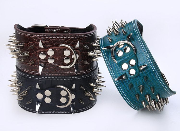 3 inch wide dog collars pitbull