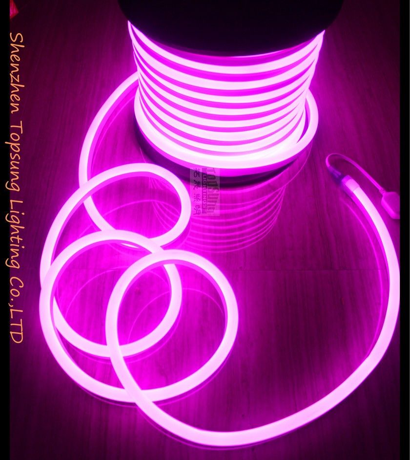 Pink rope lights Pink rope lights