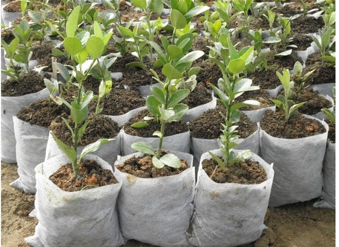 woven planter bags