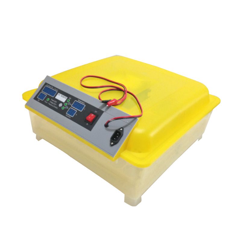 Incubator thermostat for sale in south africa